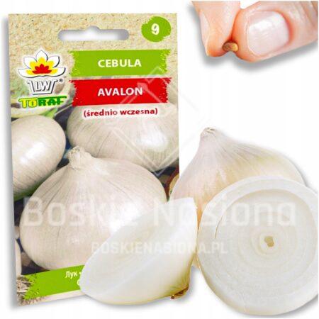 a5c7bdd1a4b0eccf2fb899a6c4de8c23