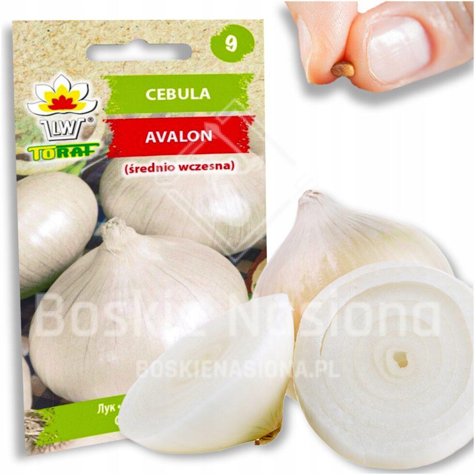 a5c7bdd1a4b0eccf2fb899a6c4de8c23