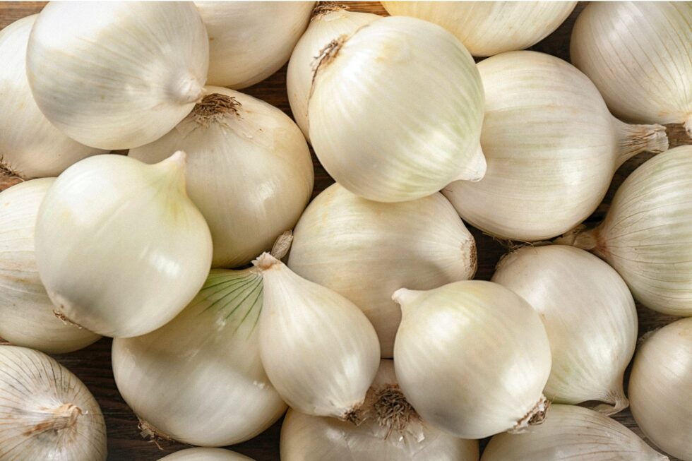 07907b0066f10c28b5a707216a0b2bfb