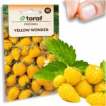 3752784c35528c4f2cafeb829330ec7c