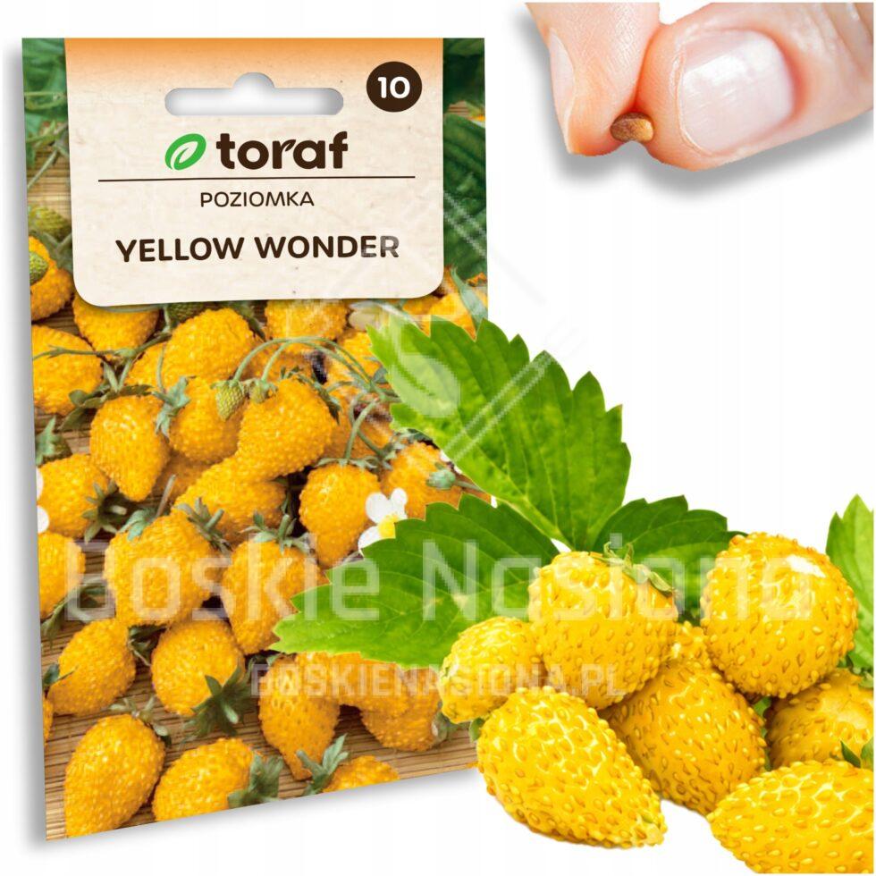 3752784c35528c4f2cafeb829330ec7c