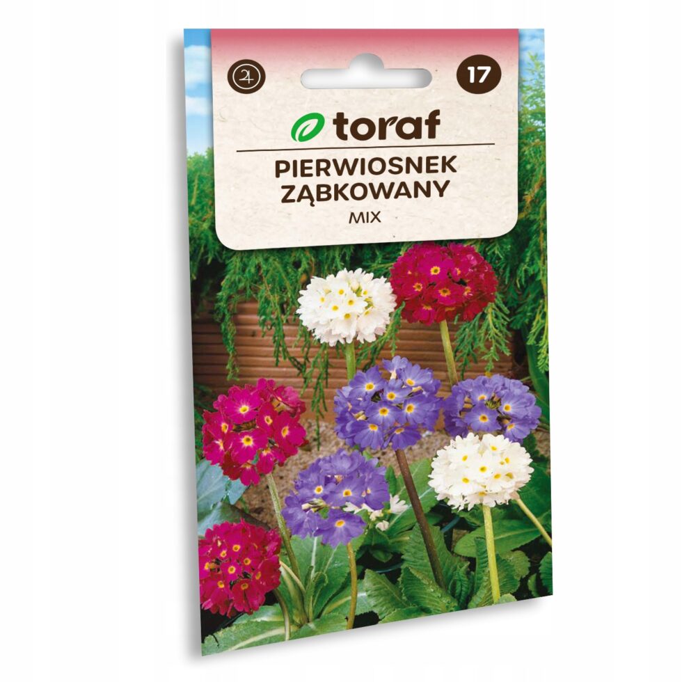 58986ef01ec87ab1ba3d11c4c1cf20a4