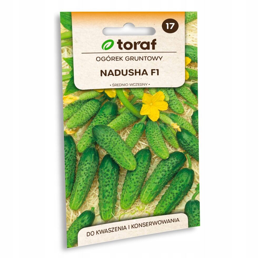 db25bb72b3c2e554bedf056d4e9dab06