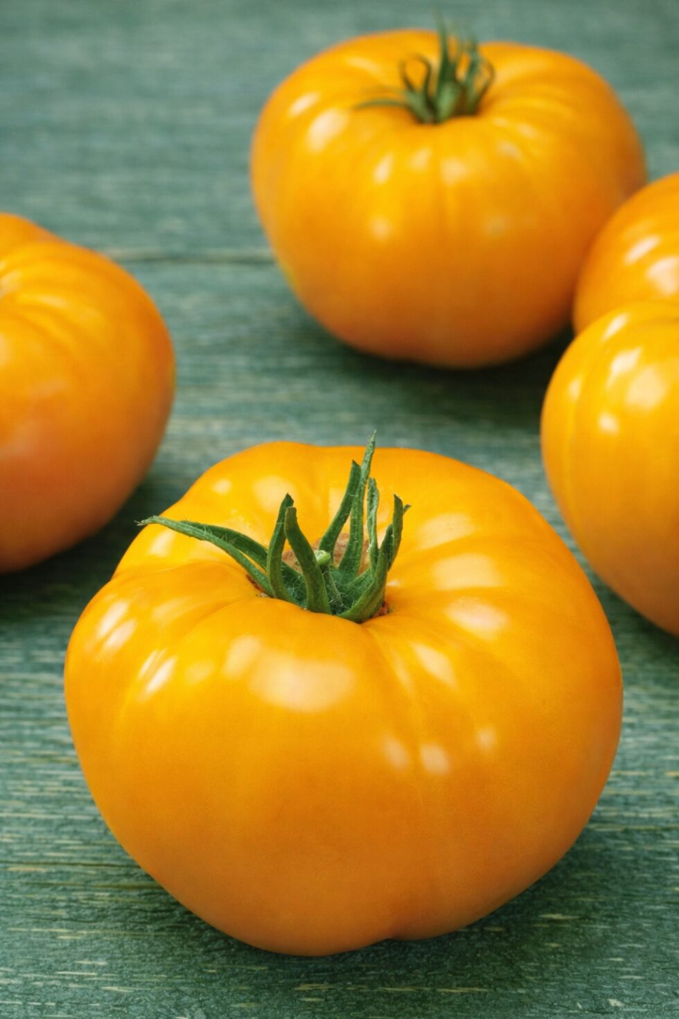 d58a01313d0a1f68533258d225ddda05