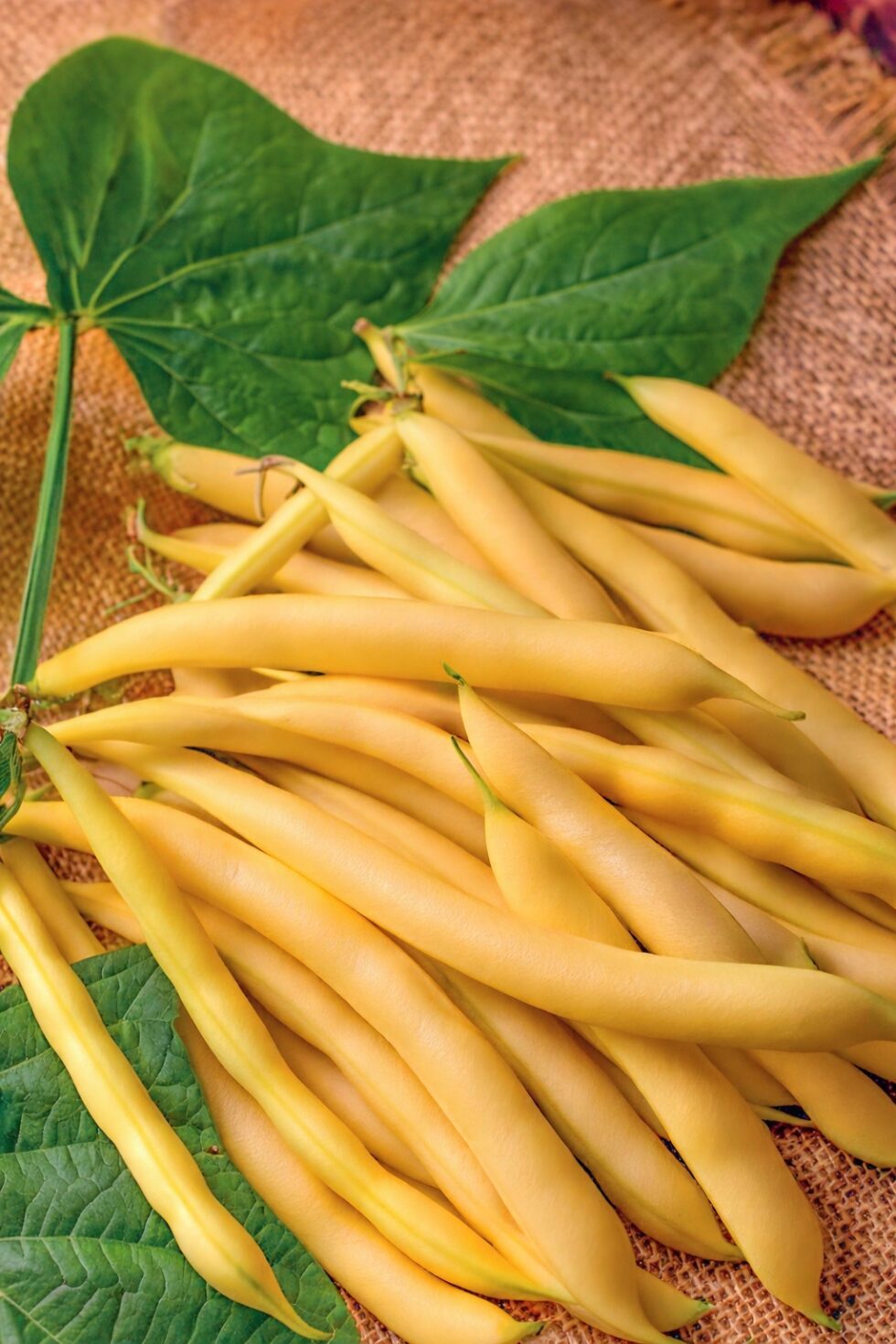 f64ecbf92d2780c305bd6228c9bf9ecb