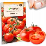 d9c166d7064572ac4f2a4f9dab58d446