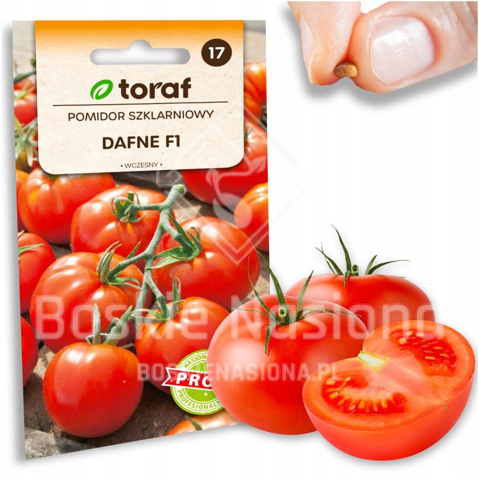 d9c166d7064572ac4f2a4f9dab58d446