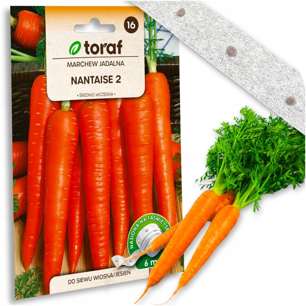 37c457b427b08da7bbde708e8fc3b65e