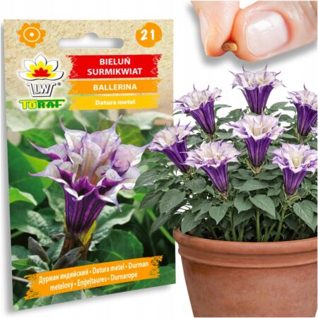 b256294f6d49bc7153554ba16d98a710