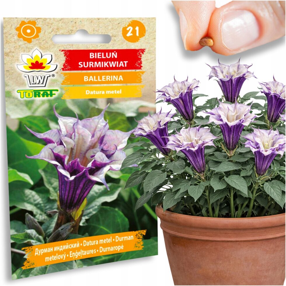 b256294f6d49bc7153554ba16d98a710