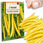 22fcfd2560296cab11b7ae2273f1e10b