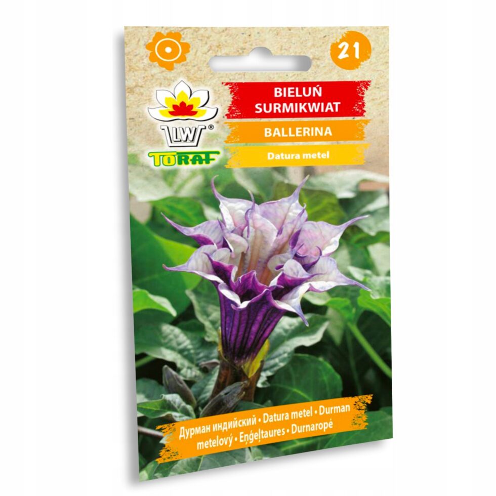 cd9d414572990aafd22e28637271427c