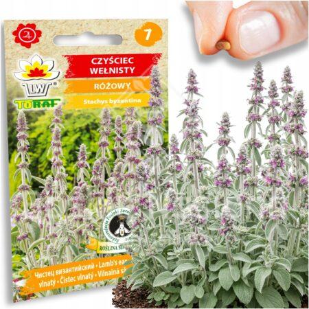 3a1135df89efe9202c2a879a68e08f0d