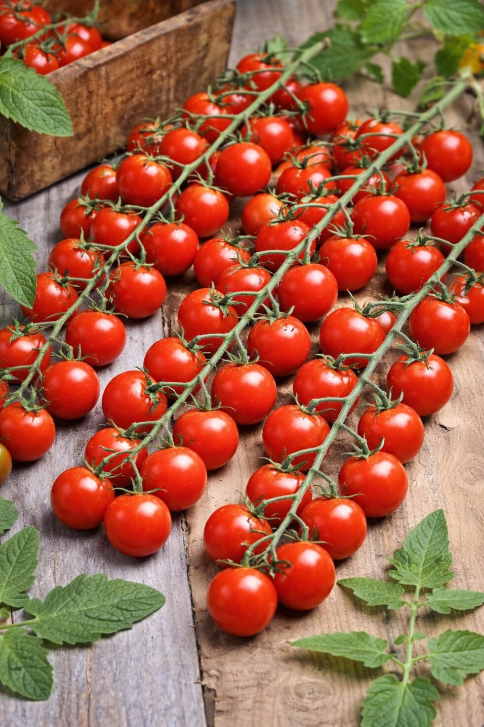 dfa4ebcdef75ff4065861c06f858a3c9