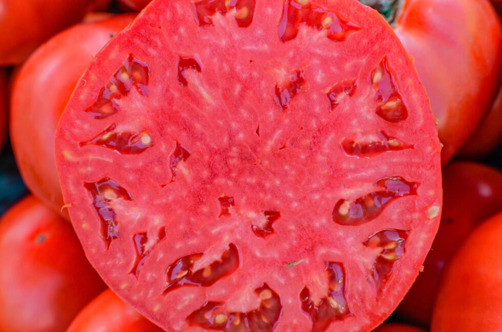 71a303952435cdf1993776d411bbb5dc