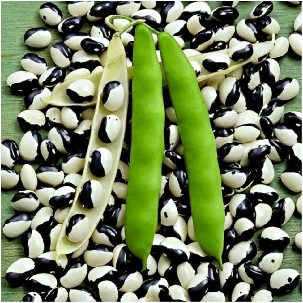 fe8507e42acf0c48a746fb133fb7a5f0