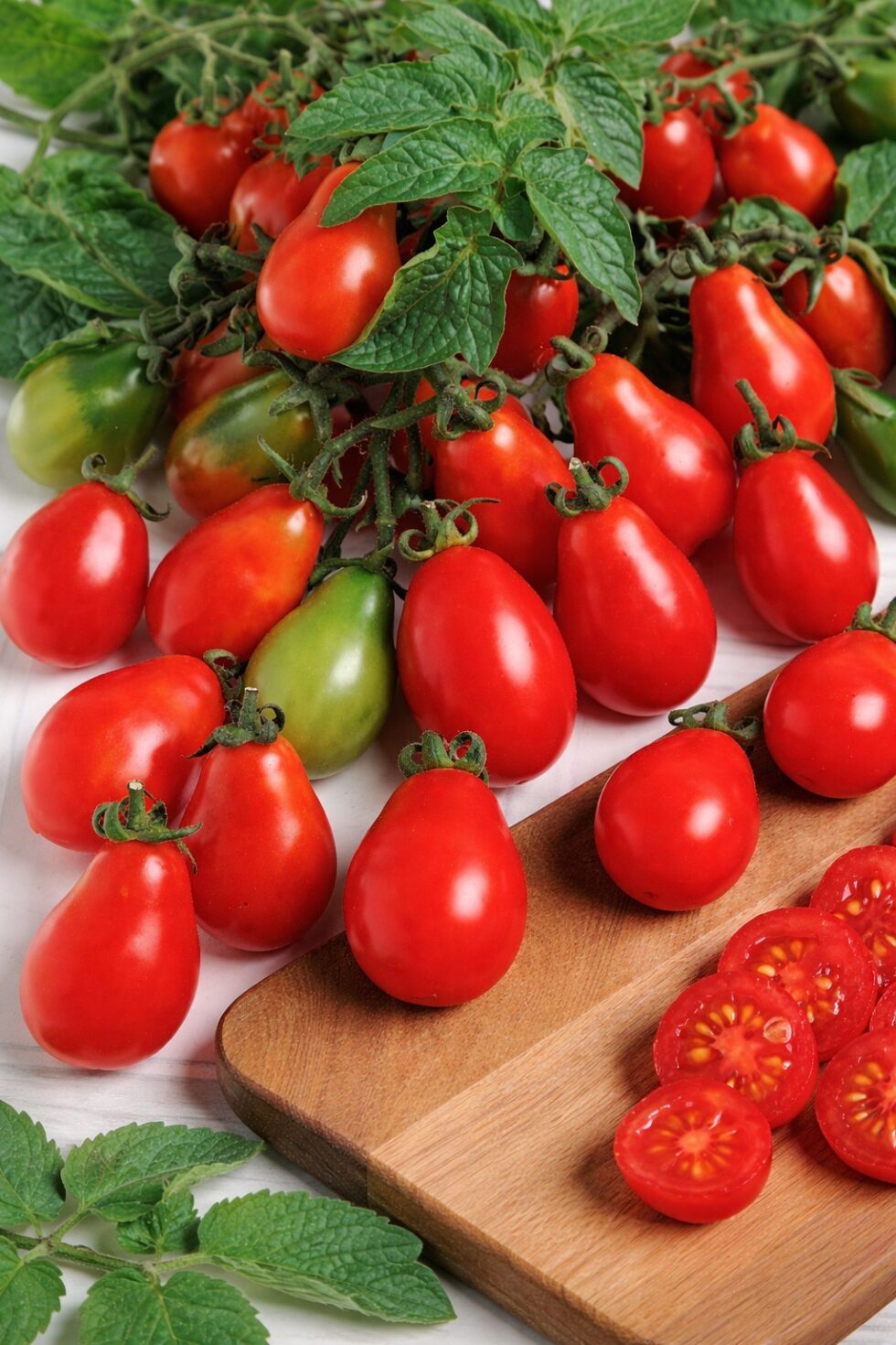 edbb2d80cb4433ec72e4b69d92f3530c