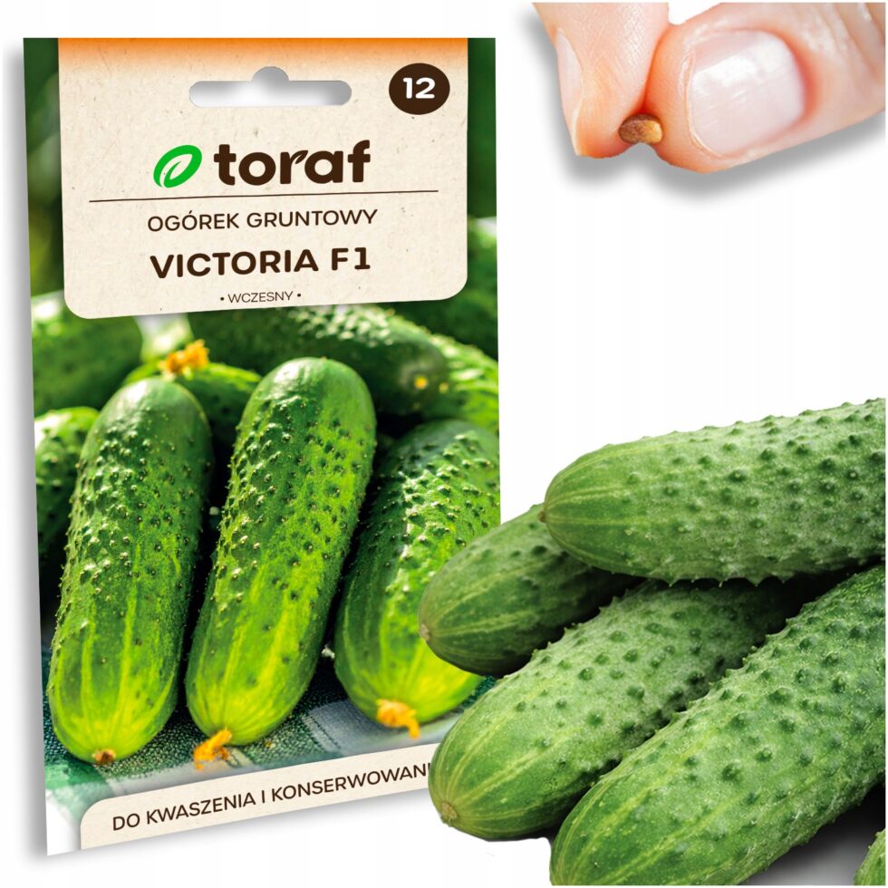 53800821d4ac87934d0df2d11c7bac68