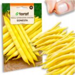 64e21c16671368a1d80e04bdd602a7eb