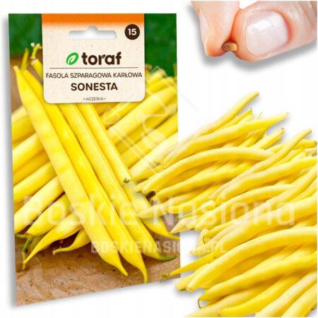 64e21c16671368a1d80e04bdd602a7eb