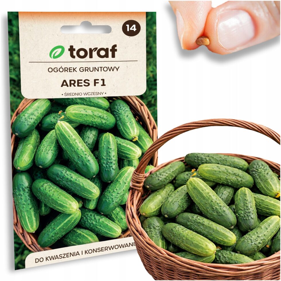 86331f04881079c0cd58c4dfb5267149