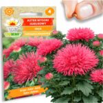 8e8a6d31b4c6daec88384efb89d854f5