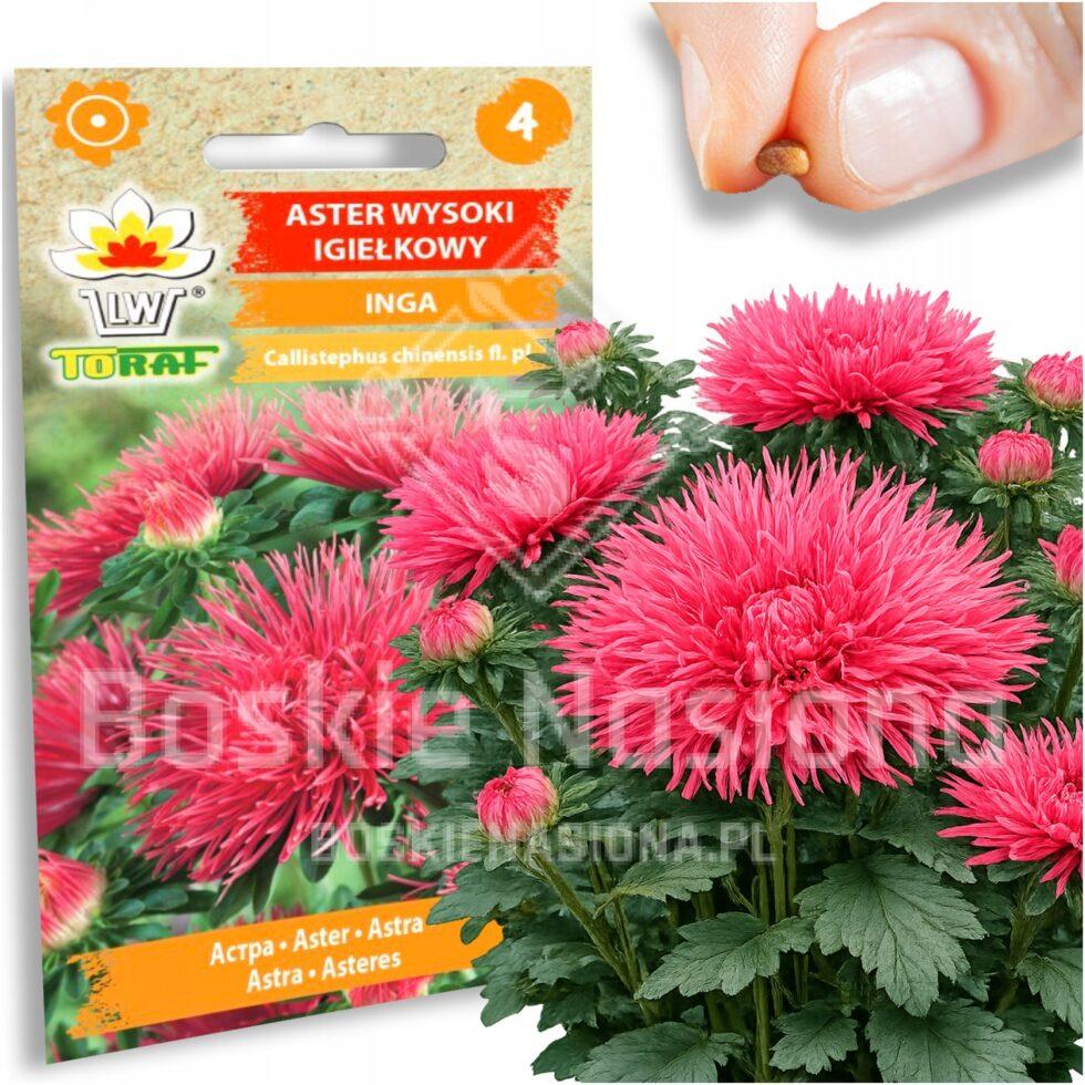 8e8a6d31b4c6daec88384efb89d854f5