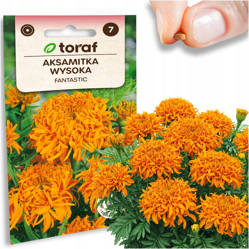 4a301cc8118b3a65af77f49c7dafbbf8