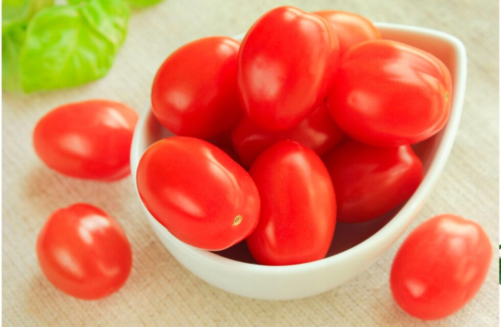 47c5f09d7e4534573590c04cac59c6ab