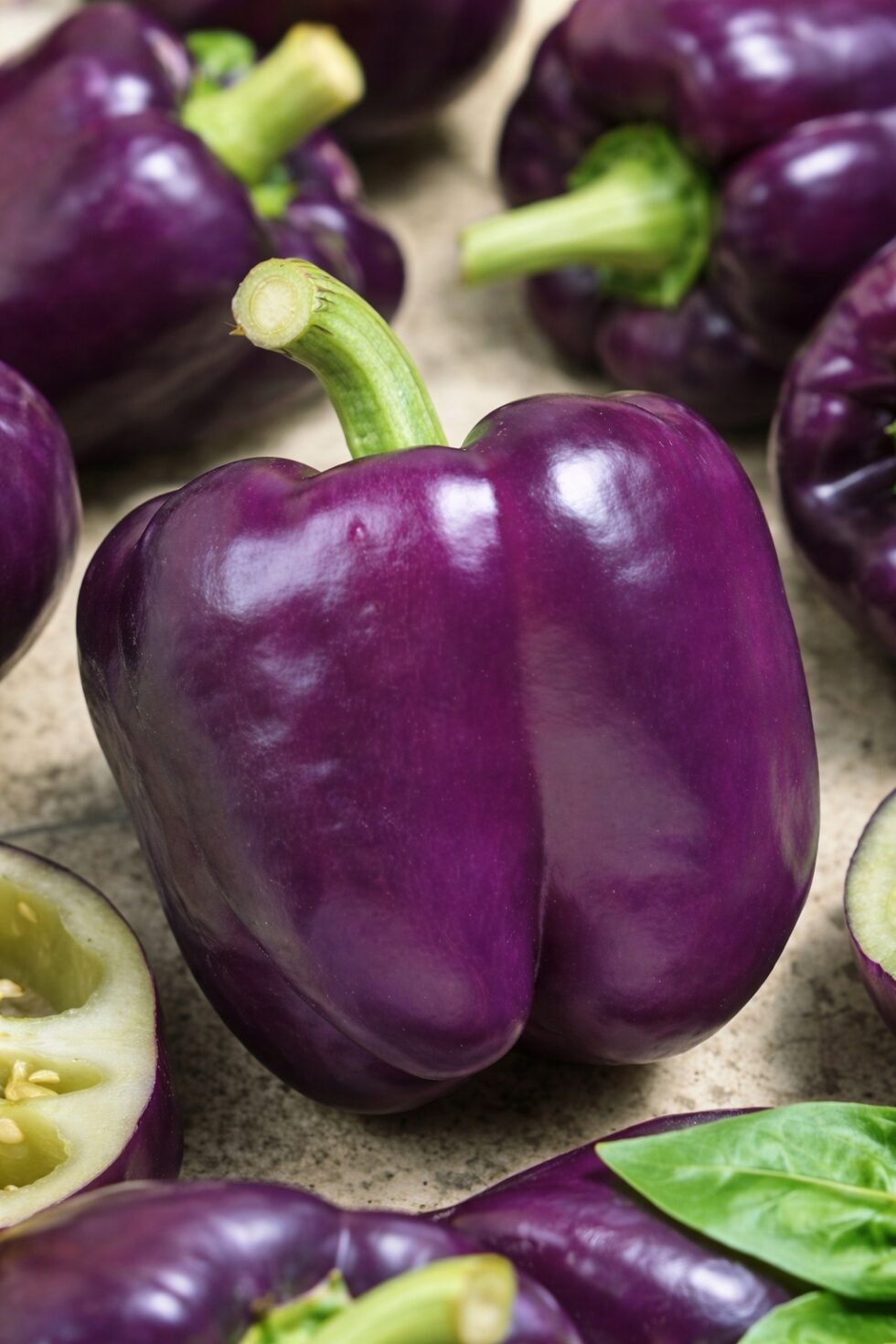 ef69e95aad2b7bbebaa6402858fdc42c