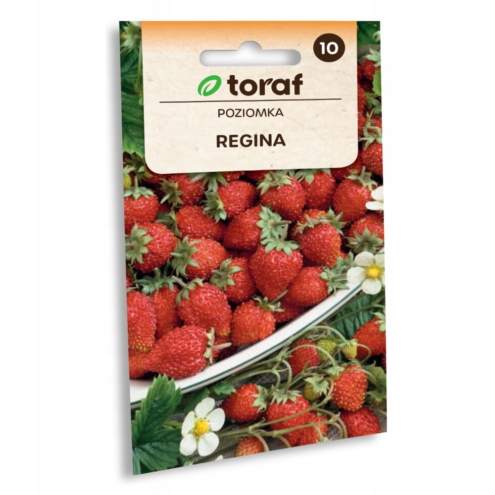 90da5732a30ed4caca4b7eb5f9188a7c