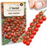 ebce9731bed77a5198fa8c5b5db16156