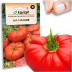 1746cbaed921001a3e58b46f8f203048