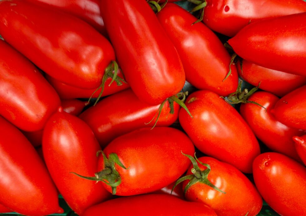 622a11ae1cde55a5963883c68182beb4