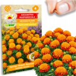 5162933844fb9e2d14c50a717e576790