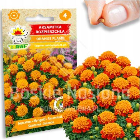 5162933844fb9e2d14c50a717e576790