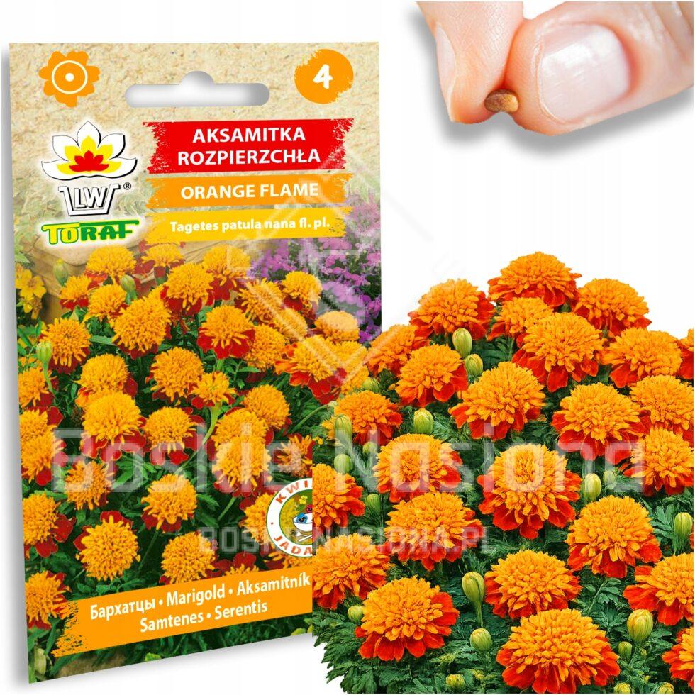 5162933844fb9e2d14c50a717e576790