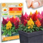 c508c32a6fdc5aa2f3fcca0e96c10c21