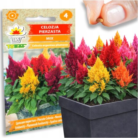 c508c32a6fdc5aa2f3fcca0e96c10c21