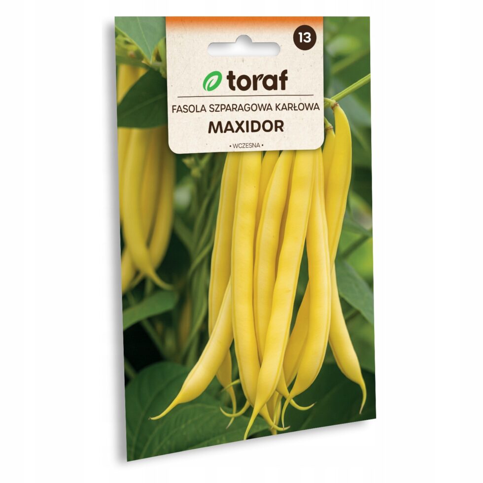 3f990631a294903e80f52f92af729904