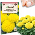 24729dee00bc4707251ffd45488fbde2