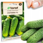 53800821d4ac87934d0df2d11c7bac68