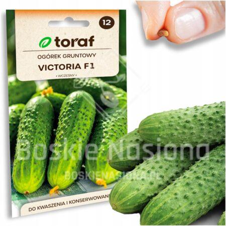 53800821d4ac87934d0df2d11c7bac68