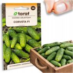 a45589facaa35a4ca85ab0c98789bd6d