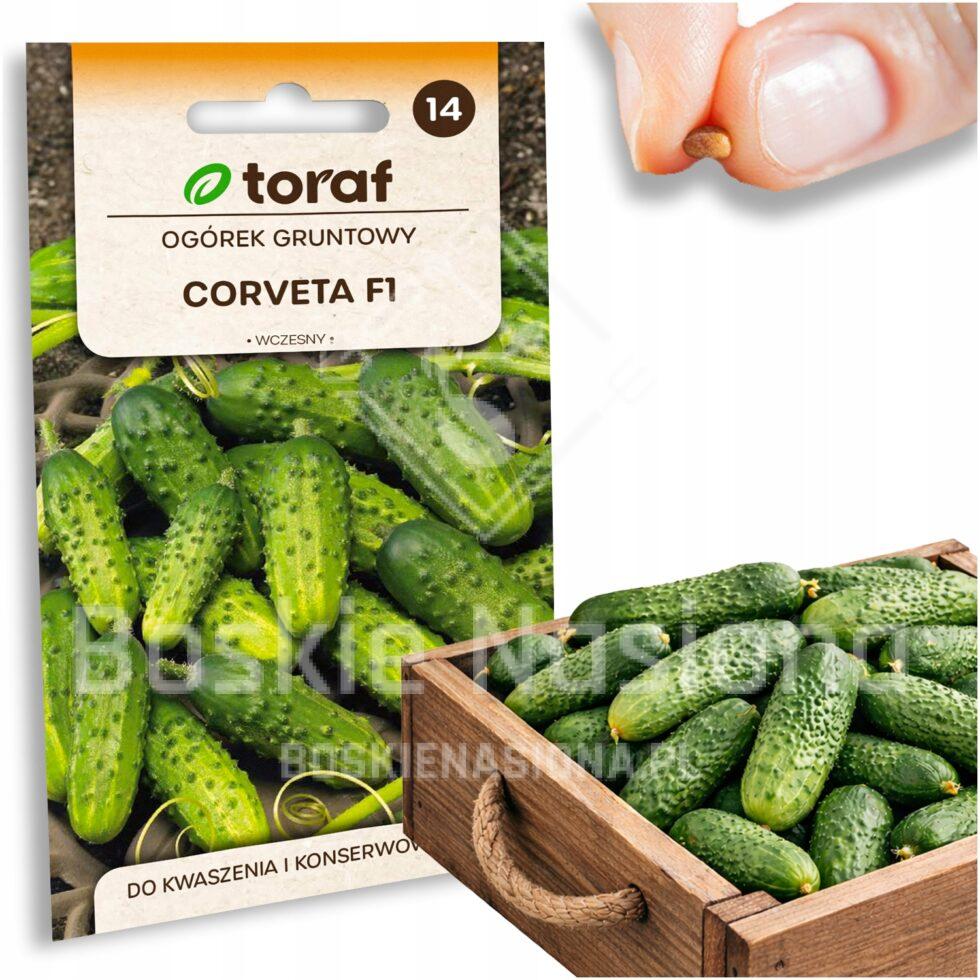 a45589facaa35a4ca85ab0c98789bd6d