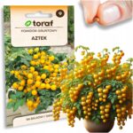 ee95029686bb1e0885a33c4fd1ad7591