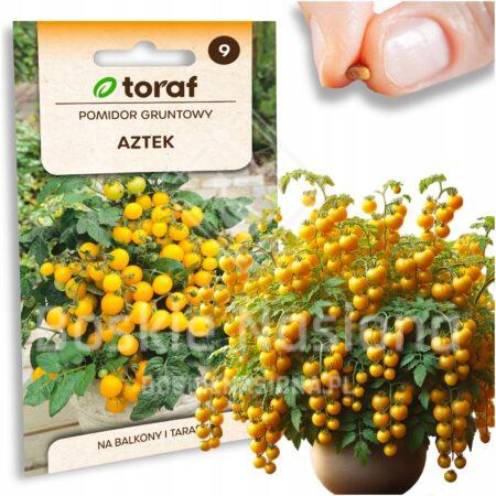 ee95029686bb1e0885a33c4fd1ad7591