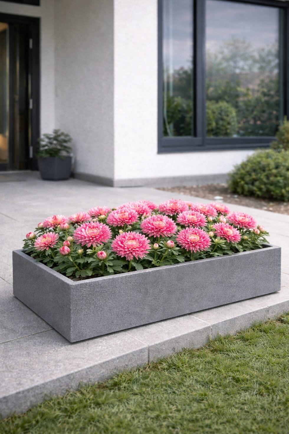 050d24b8837bc14ce07dee8913d4bd1f