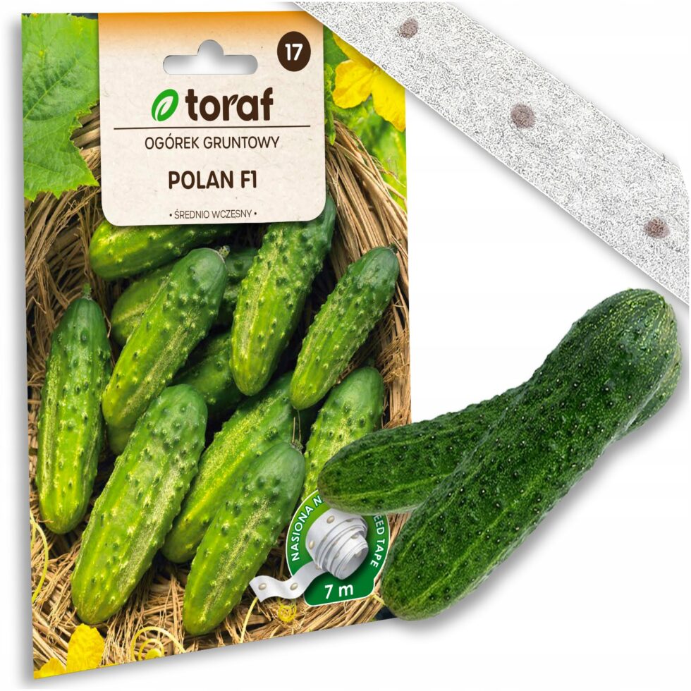 dbe0cc4eed63bb885cac2e3c736f4dd4