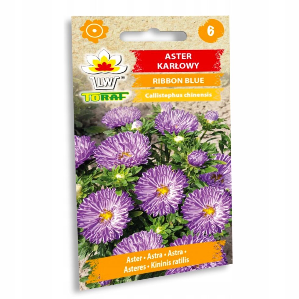 a908cf2a8b6099e795a67ea64497197b